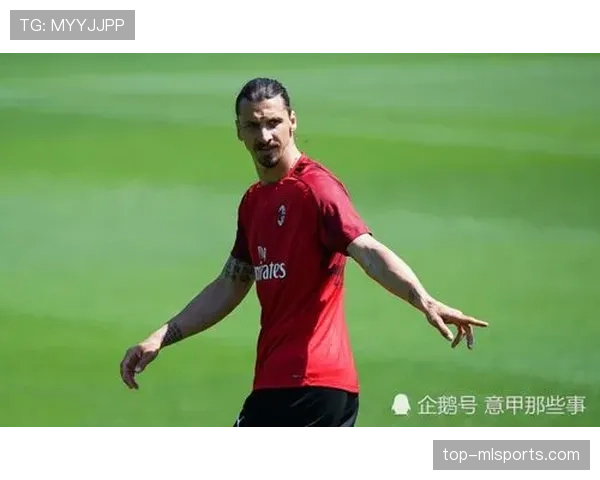 哲科与伊布锋线角色分化：体系驱动下的多点参与趋势